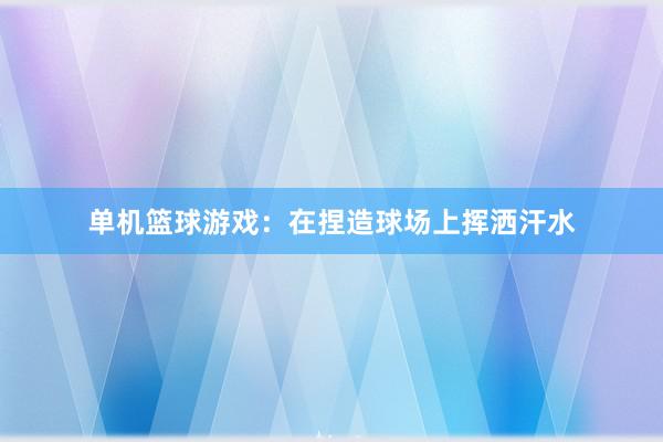 单机篮球游戏：在捏造球场上挥洒汗水